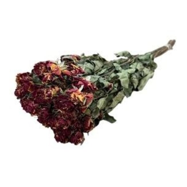 Roses en grappe séchées jaune-rouge | Spray Rose fleurs séchées | Longueur ± 50 centimètres | Par 10 roses
