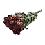 Roses en grappe séchées jaune-rouge | Spray Rose fleurs séchées | Longueur ± 50 centimètres | Par 10 roses
