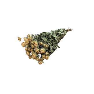 DriedRoses.com Witte gedroogde Trosrozen | Spray Rose droogbloemen | Lengte ± 50 centimeter | Per 10 rozen