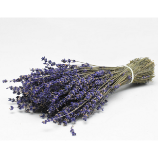 MyFlowers Lavande séchée naturelle bleu-violet | Longueur ± 50 cm | Poids ± 100 grammes