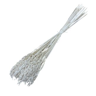 Dolce Vita Wit gebleekte Avena droogbloemen