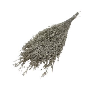 Casa Alegria Goudkleurige Caspia gepreserveerde bloemen | Lengte ± 65 centimeter | Gewicht ± 100 gram