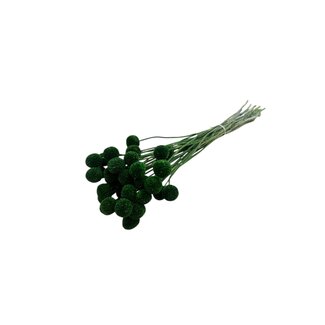 Casa Alegria Groene Craspedia droogbloemen | Lengte ± 50 centimeter | Per 40 takken