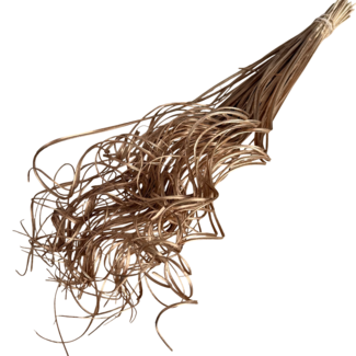 Dutch Dried Getrocknetes Palmblatt Nerv | Curly Ting Ting | Farbe: Platin | Trockenblumen | Länge ± 60 Zentimeter | Gewicht 100 Gramm