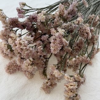 Dutch Dried Salmon-coloured Statice Sinuata dried flowers | Length ± 70 centimetres | Weight ± 75 grams