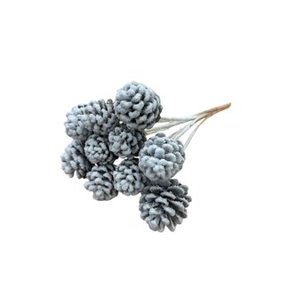 Dutch Dried White Snowy Pine Cones on Stick | Length ± 55 centimetres | Per 10 branches