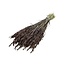 Avena sativa brune fleurs séchées | Longueur ± 70 centimètres | Poids 150 grammes