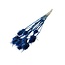 Donkerblauwe Cardistella Distels droogbloemen | Lengte ± 60 centimeter | Per 10 takken