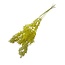 Yellow Ruscus dried flowers | Length ± 65 centimetres | Per 5 stems