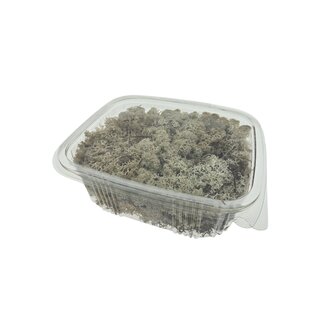 Casa Alegria Naturally preserved Reindeer Moss from Iceland | Packed per 150 grams