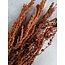 Palak Stick de fleurs séchées naturelles | Longueur ± 70 centimètres | Poids ± 100 grammes