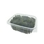Green preserved Reindeer Moss from Iceland | Packed per 150 grams