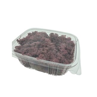 Casa Alegria Pink preserved Reindeer Moss from Iceland | Packed per 150 grams