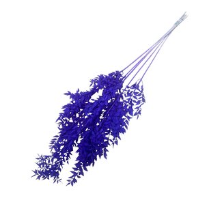 Dolce Vita Paarse Ruscus droogbloemen | Lengte ± 65 centimeter | Per 5 takken