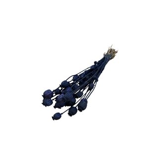 Dutch Dried Donkerblauwe Papaver Somniferum droogbloemen | Lengte ± 65 centimeter | Gewicht ± 200 gram