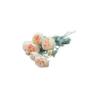 MyFlowers Champagne-Coloured Ranunculus | Ranunculus or Buttercup Artificial Flowers | Length ± 50 centimetres | With 3 flowers per stem