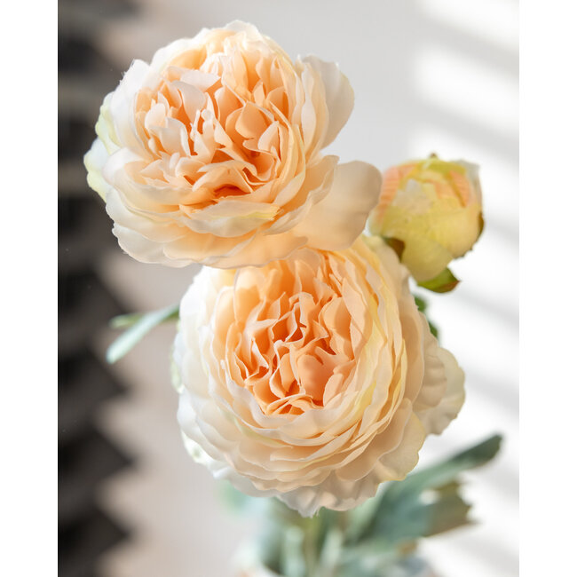 Champagnerfarbene Ranunkeln | Ranunculus oder Butterblumen Kunstblumen | Länge ± 50 Zentimeter | Mit 3 Blumen pro Stiel