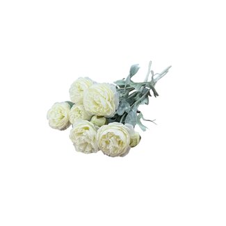 Dutch Dried Weiße Ranunkeln | Ranunculus oder Butterblumen Kunstblumen | Länge ± 50 Zentimeter | Mit 3 Blumen pro Stiel