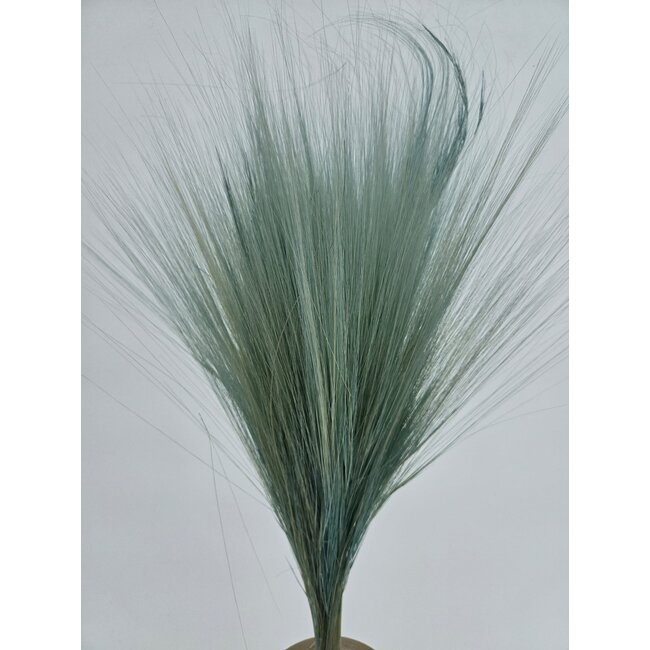 Light blue Barba de Bode dried flowers | Length ± 55 centimetres | Weight ± 50 grams