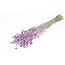 Lilac Misty Phalaris dried flowers | Length ± 65 centimetres | Weight ± 150 grams