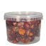 Têtes d'Hélichrysum Rouge - Immortelles | Dans un seau refermable | Poids ± 100 grammes