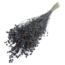 Grey Misty Linum - Vlas droogbloemen | Lengte ± 55 centimeter | Gewicht ± 150 gram