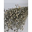 Grey Misty Linum - Lin en fleurs séchées | Longueur ± 55 centimètres | Poids ± 150 grammes
