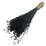 Linum noir - Fleurs séchées de lin | Longueur ± 55 centimètres | Poids ± 150 grammes