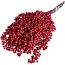Schinus rouge - Baies de poivre décoration sèche | Longueur ± 35 centimètres | Poids ± 150 grammes