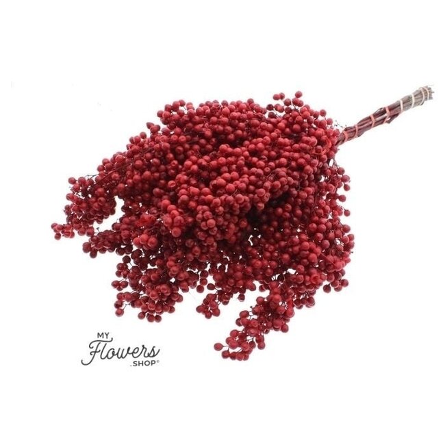 Roter Schinus - Pfefferbeeren Trockenblumendekoration | Länge ± 35 Zentimeter | Gewicht ± 150 Gramm