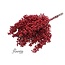 Red Schinus - Pepper Berries Dried Decoration | Length ± 35 centimetres | Weight ± 150 grams