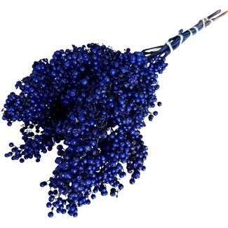 Dutch Dried Dark Blue Schinus - Pepper Berries Dried Decoration | Length ± 35 centimetres | Weight ± 150 grams