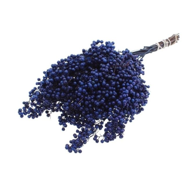 Schinus bleu foncé - Baies de poivre décoration séchée | Longueur ± 35 centimètres | Poids ± 150 grammes