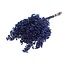 Schinus bleu foncé - Baies de poivre décoration séchée | Longueur ± 35 centimètres | Poids ± 150 grammes