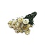 White Helichrysum - Strawflower dried flowers | Length ± 55 centimetres | Weight ± 75 grams