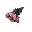 Helichrysum rose - Immortelle fleurs séchées | Longueur ± 55 centimètres | Poids ± 75 grammes