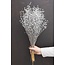 Linum argenté - Fleurs séchées de lin | Longueur ± 55 centimètres | Poids ± 150 grammes