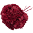 Rode gepreserveerde Hortensia bloemen  | Lengte ± 30 centimeter | Gewicht ± 50 gram