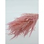 Fougères séchées blanchies rose | Longueur ± 55 centimètres | Poids ± 100 grammes