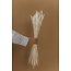 White bleached Triticum - Wheat dried flowers | Length ± 70 centimetres | Weight ± 175 grams