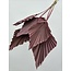 Pink Dried Palm Spear | Length ± 45 centimetres | Per 5 stems
