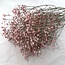 Roze Gypsophila droogbloemen | Gedroogd Gipskruid | Lengte ± 65 centimeter | Per 5 takken