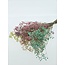 Colourful Mix Gypsophila dried flowers | Preserved Baby's Breath | Length ± 65 centimetres | Per 100 grams