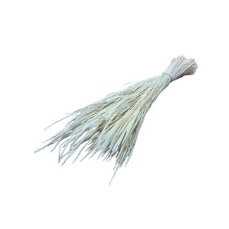 Casa Alegria Wit gebleekte Phleum droogbloemen | Lengte ± 60 centimeter | Gewicht ± 100 gram