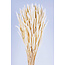 White bleached Phleum dried flowers | Length ± 60 centimetres | Weight ± 100 grams