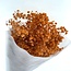 Gypsophile orange fleurs séchées | Gypsophile préservée | Longueur ± 65 centimètres | Par 100 grammes