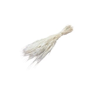 Casa Alegria White bleached Triticum - Wheat dried flowers | Length ± 70 centimetres | Weight ± 175 grams