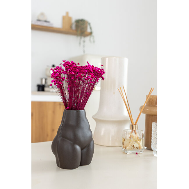 Kersenkleurige Glixia droogbloemen | Lengte ± 50 centimeter | Gewicht ± 50 gram