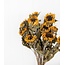 Natürliche gelbe französische Sonnenblumen Trockenblumen | Länge ± 60 Zentimeter | Pro 10 Blumen