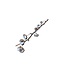 Branches de coton naturelles | 6 - 7 boules de coton blanches par branche | ± Longueur 55 centimètres